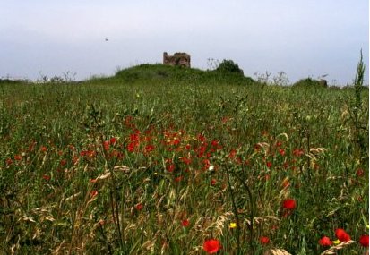 Le rovine della Torre detta 'Zampa di Bove' 